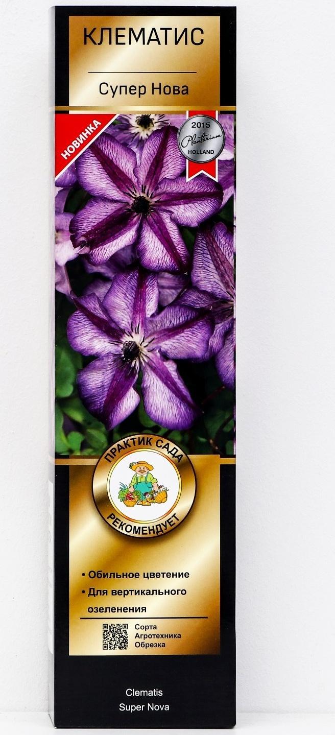 Клематис ботанический Люкс 