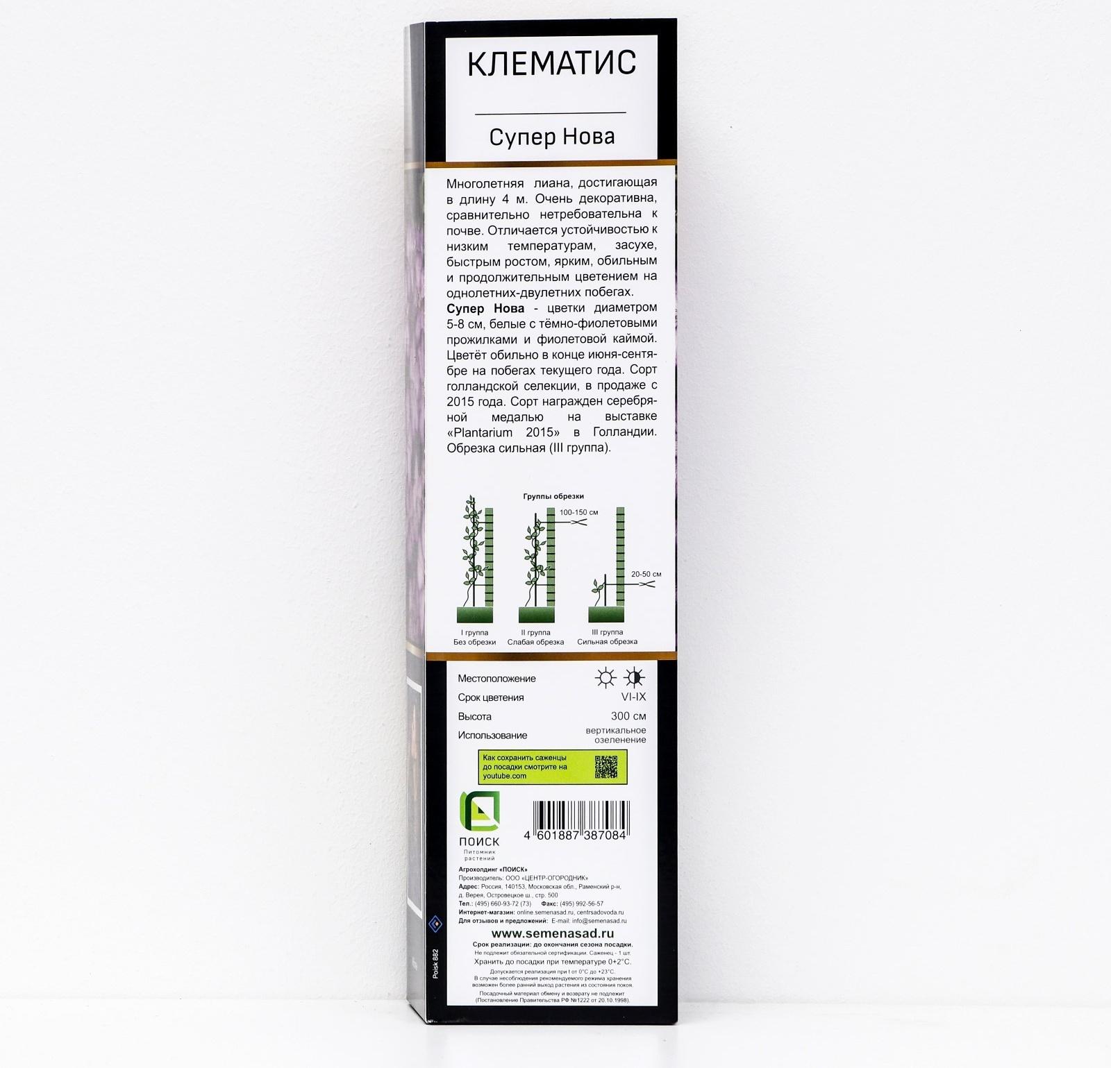 Клематис ботанический Люкс 