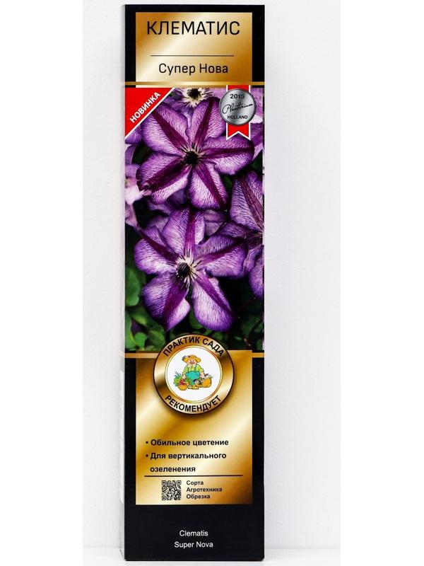 Клематис ботанический Люкс 