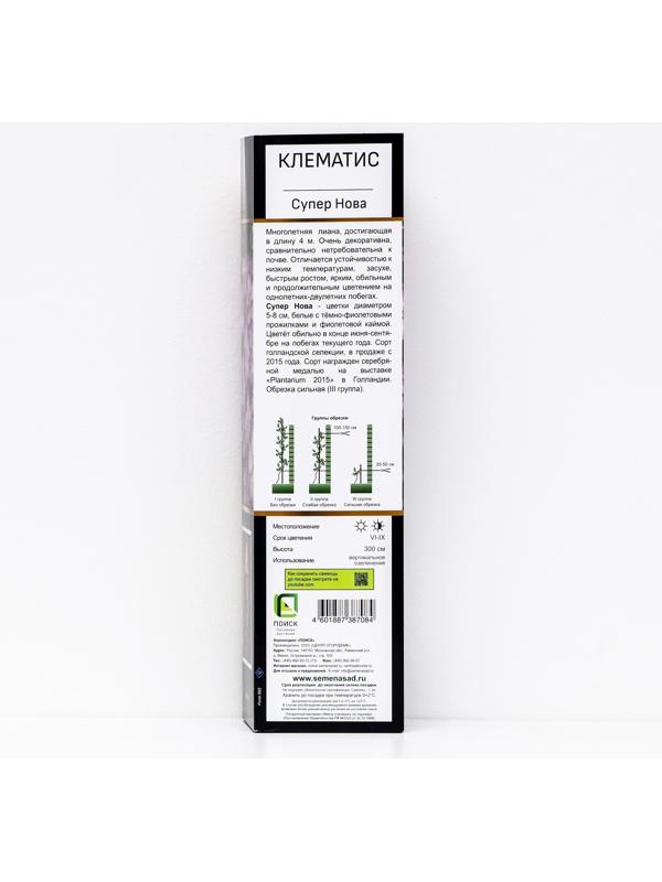Клематис ботанический Люкс 