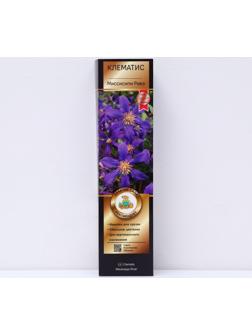 Клематис ботанический Люкс (для срезки) 