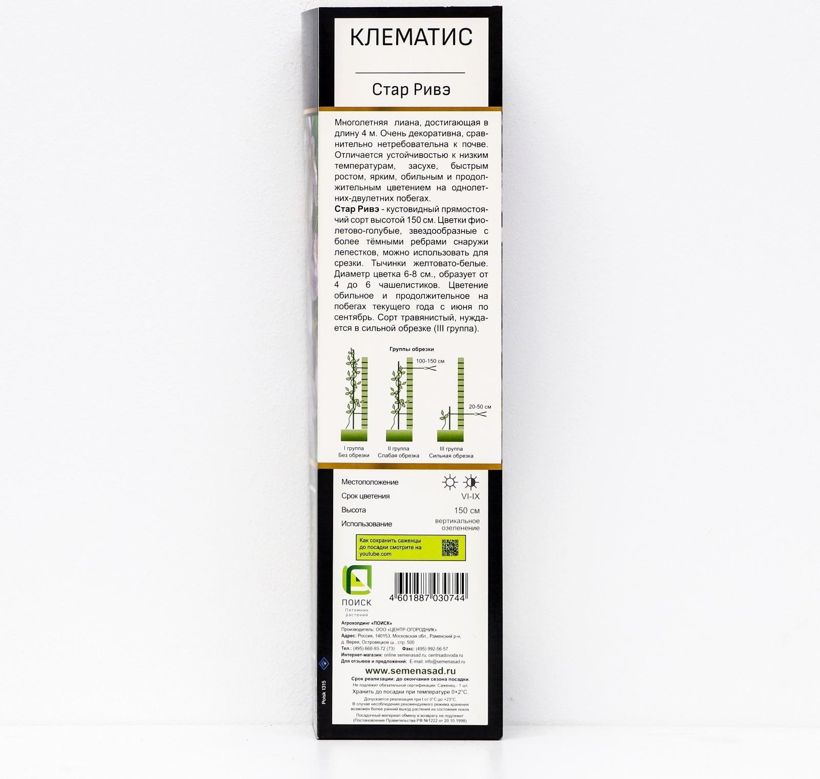 Клематис ботанический Люкс (для срезки) 