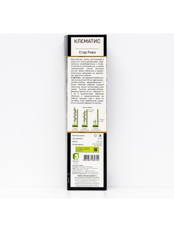 Клематис ботанический Люкс (для срезки) 