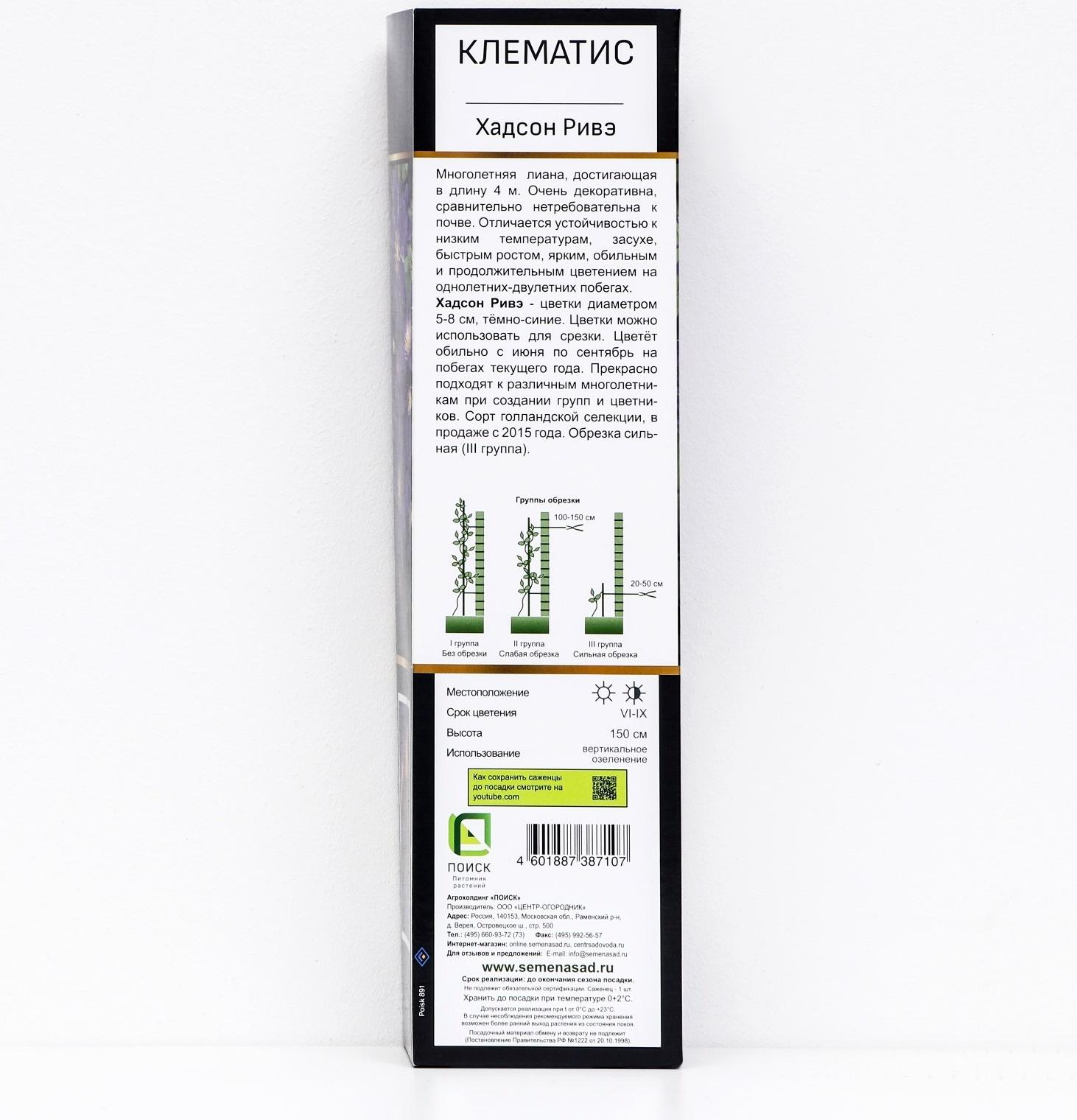 Клематис ботанический Люкс (для срезки) 