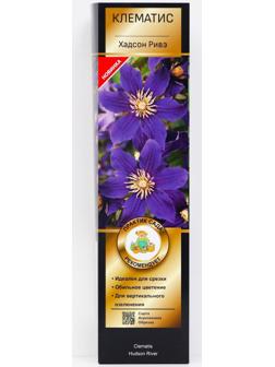 Клематис ботанический Люкс (для срезки) 