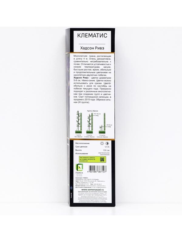 Клематис ботанический Люкс (для срезки) 