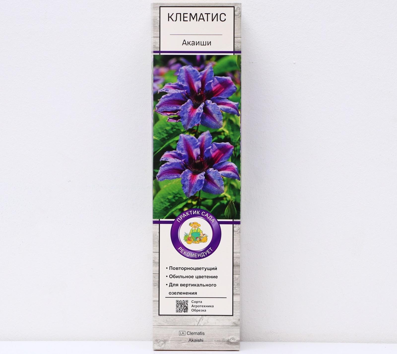 Клематис крупноцветковый 