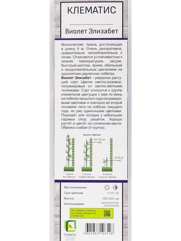 Клематис крупноцветковый 