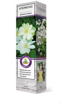 Клематис крупноцветковый 