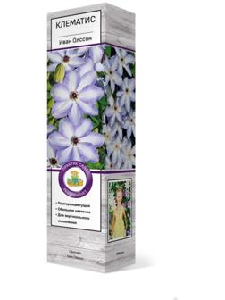 Клематис крупноцветковый 