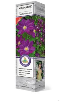 Клематис крупноцветковый 
