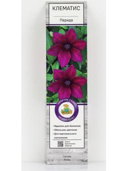 Клематис крупноцветковый 