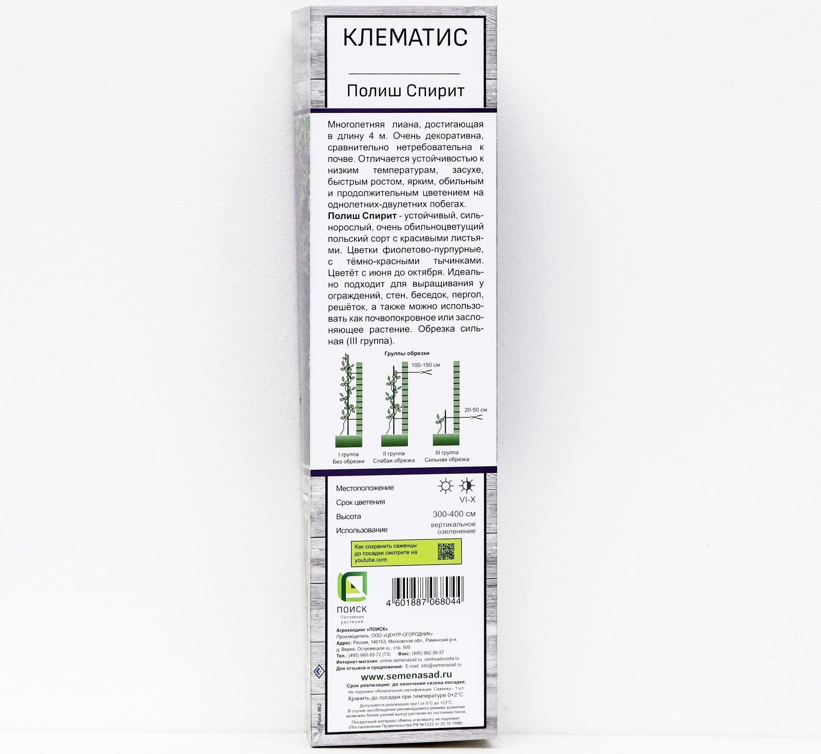 Клематис крупноцветковый 