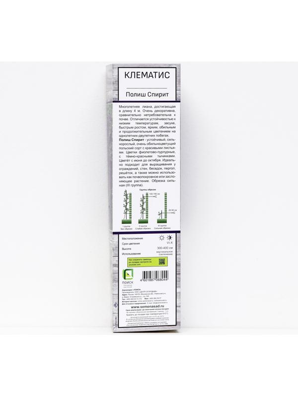 Клематис крупноцветковый 