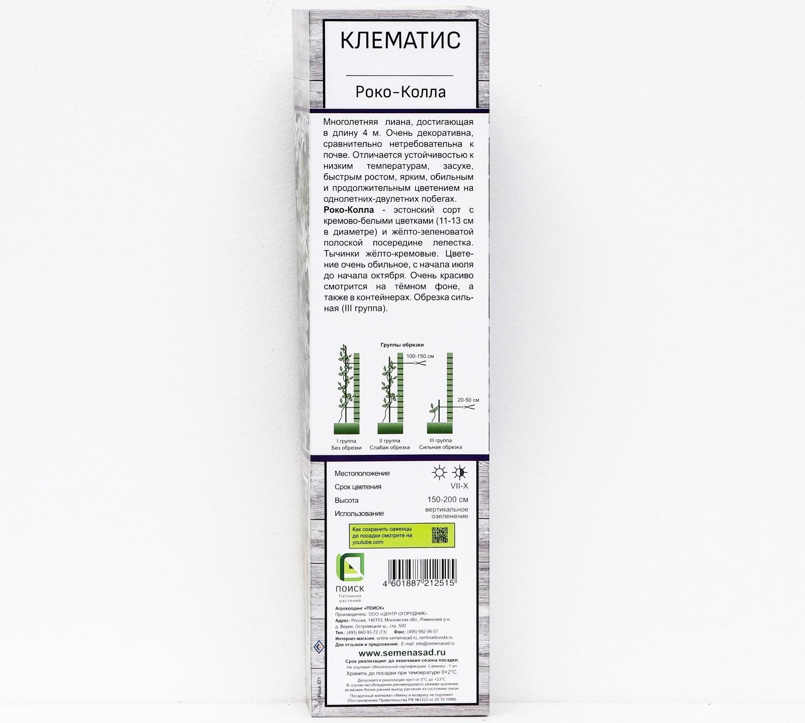 Клематис крупноцветковый 