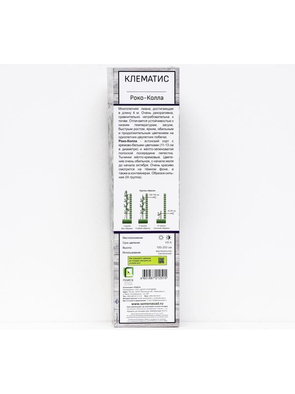 Клематис крупноцветковый 