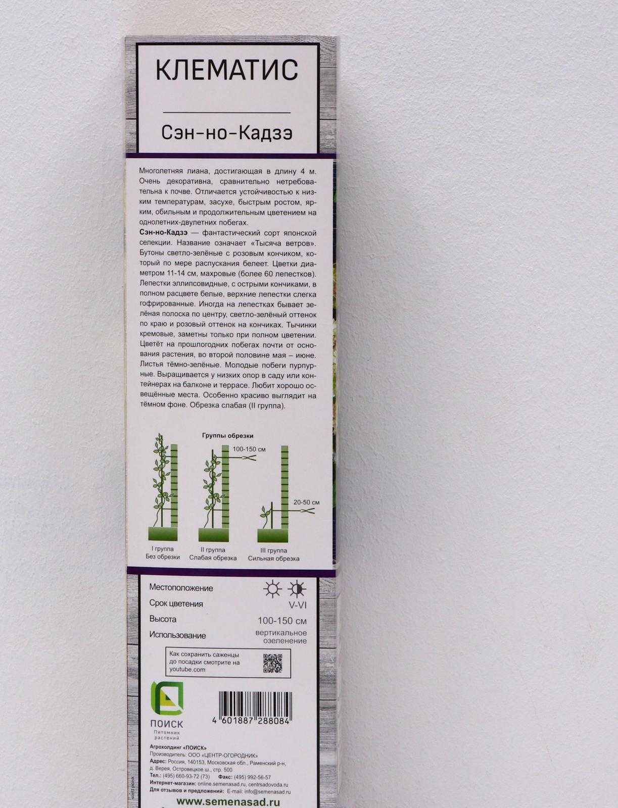 Клематис крупноцветковый 