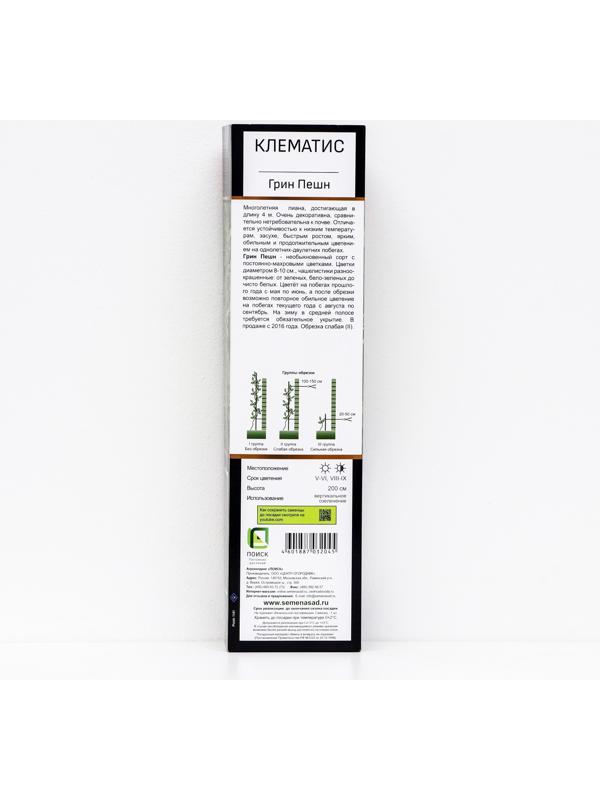 Клематис крупноцветковый Люкс 