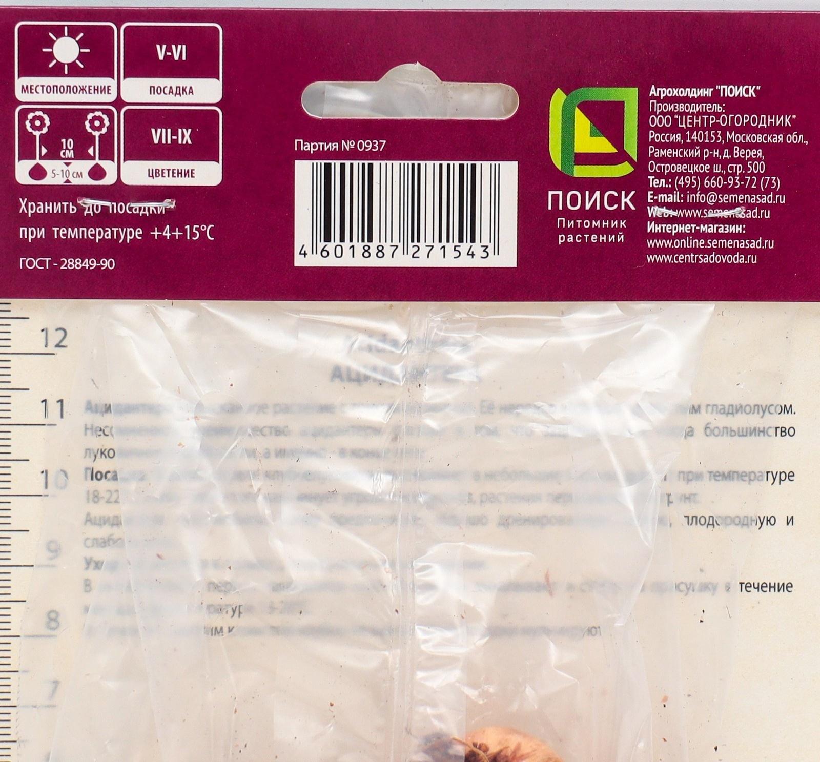 Ацидантера двухцветная Вайт , 10 шт, р-р 6/8, Весна 2024