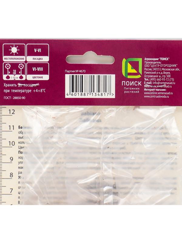 Бабиана прямая Смесь окрасок, 10 шт, р-р 5+, Весна 2024