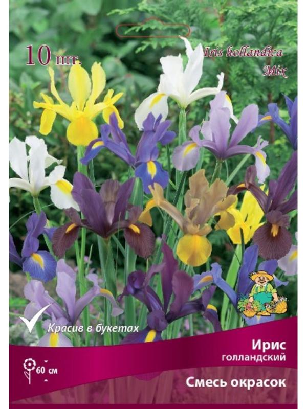 Ирис голландский Cмесь окрасок , 10 шт, р-р 6/7, Весна 2024