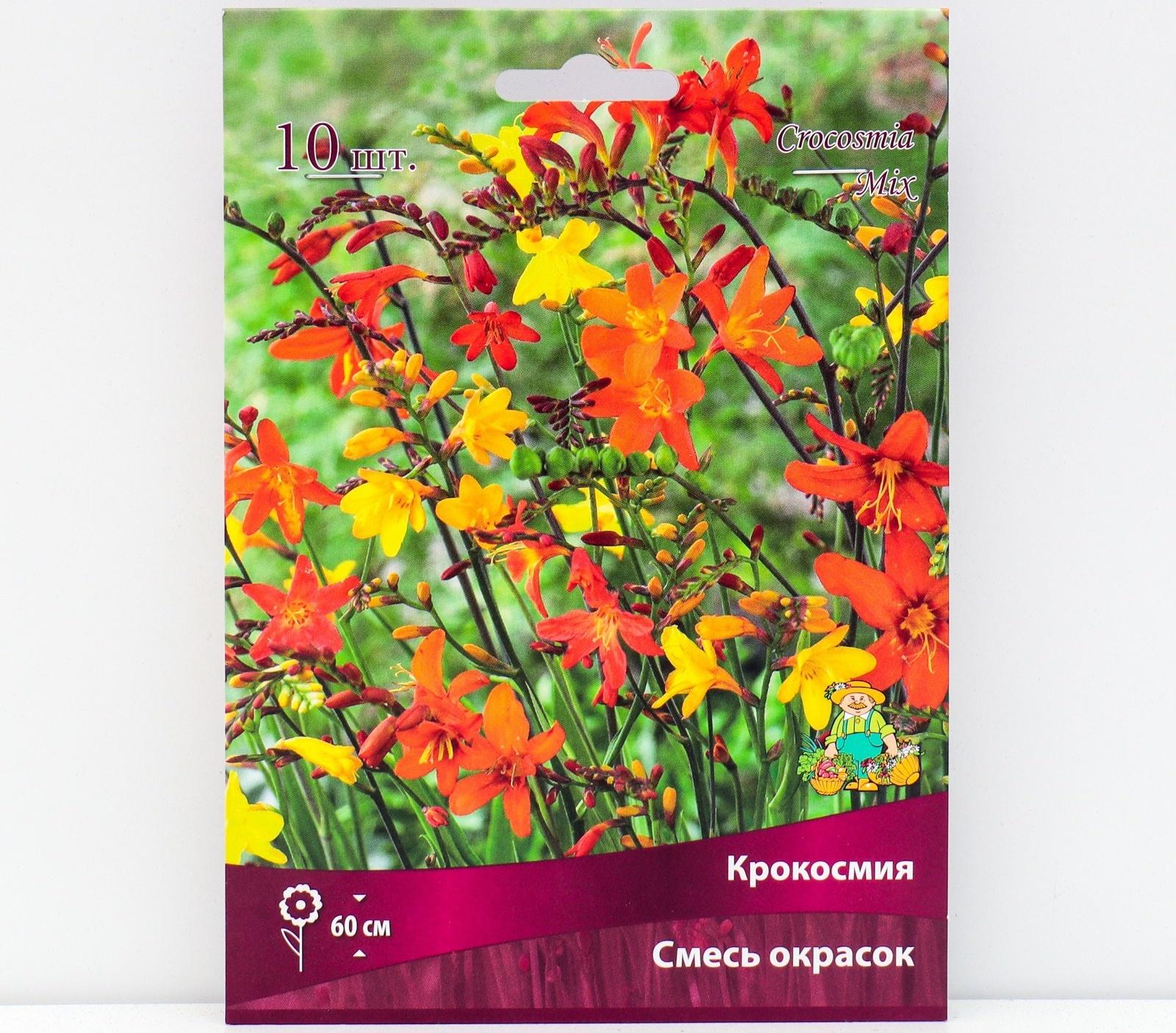 Крокосмия смесь окрасок, 10 шт, р-р 6/7, Весна 2024