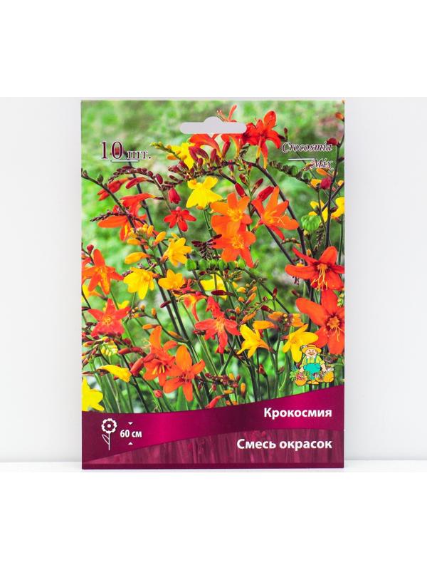 Крокосмия смесь окрасок, 10 шт, р-р 6/7, Весна 2024