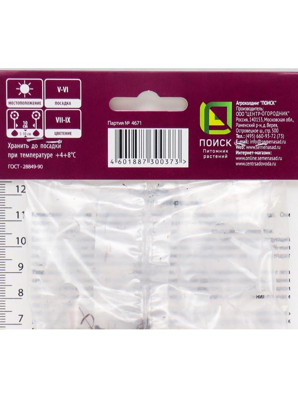 Крокосмия смесь окрасок, 10 шт, р-р 6/7, Весна 2024