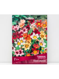 Спараксис трёхцветный Cмесь окрасок, 10 шт, р-р 5/+, Весна 2024