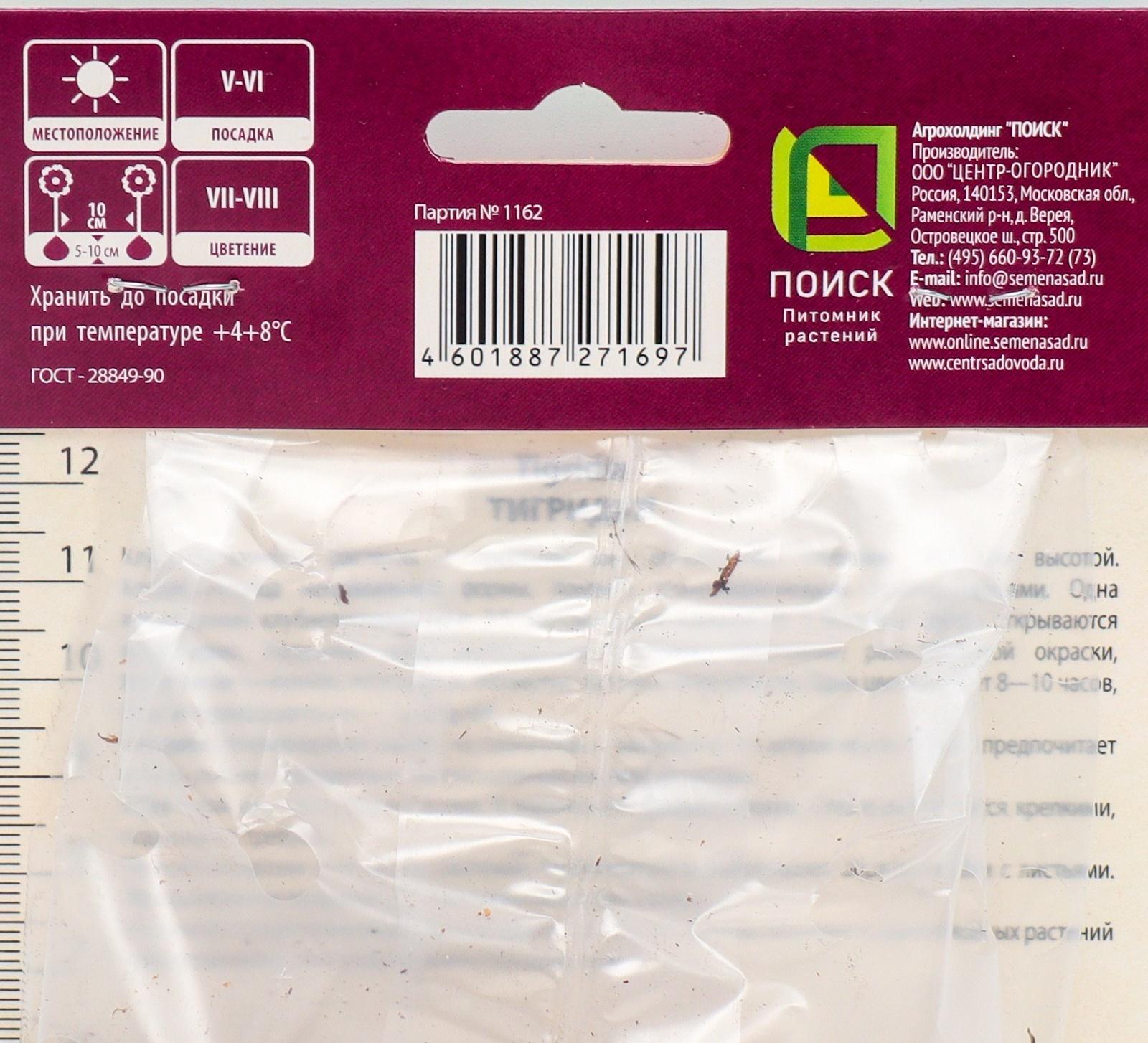 Тигридия павлинья Дарк-Пинк, 10 шт, р-р 5/7, Весна 2024