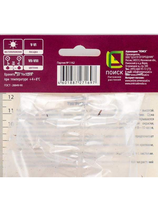 Тигридия павлинья Дарк-Пинк, 10 шт, р-р 5/7, Весна 2024