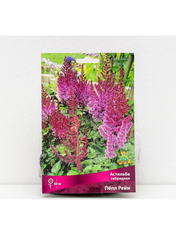 Астильба гибридная 