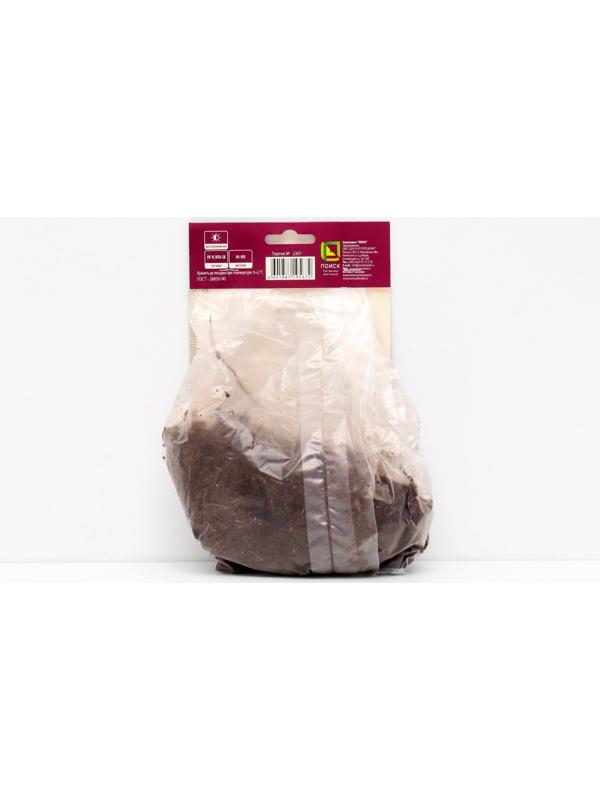 Астильба гибридная патио 