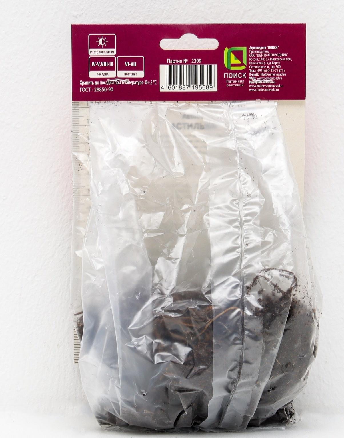 Астильба гибридная патио 