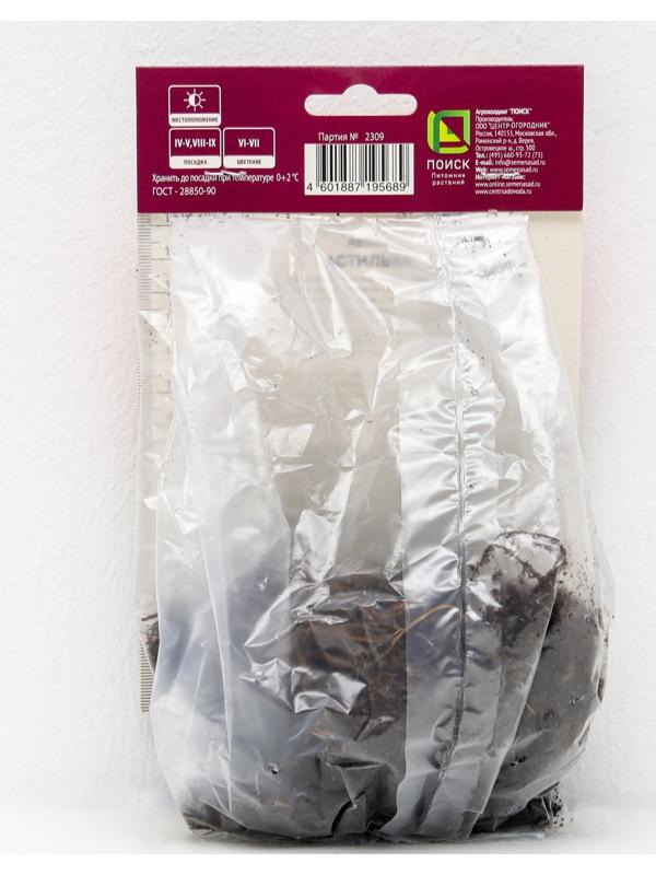 Астильба гибридная патио 