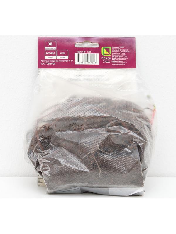 Герань гималайская 