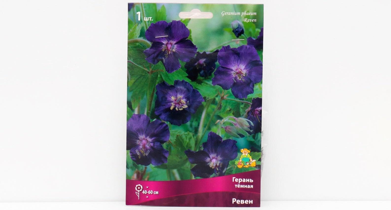 Герань тёмная 