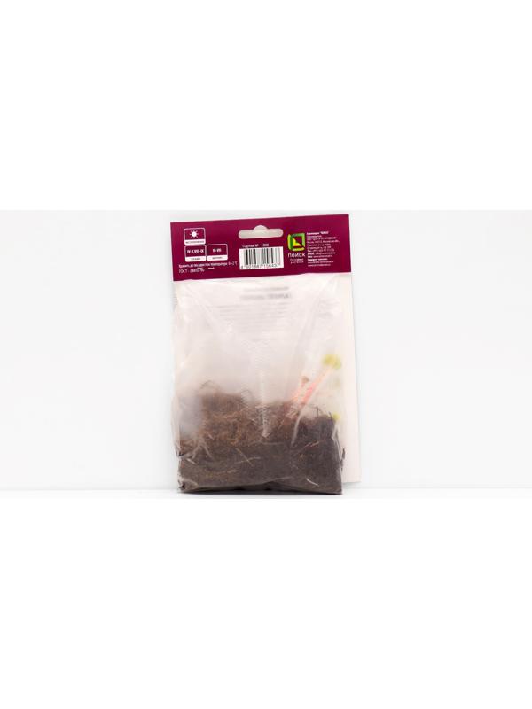 Герань тёмная 