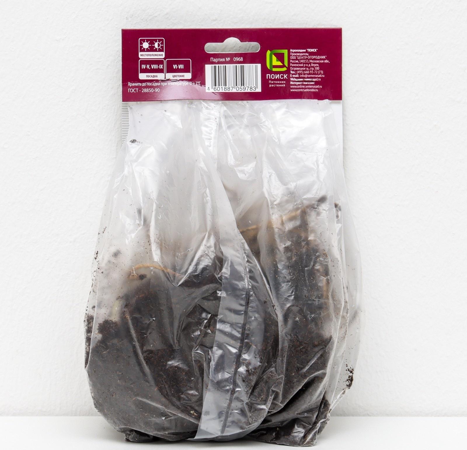 Ирис болотный 