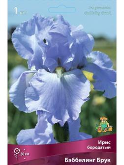 Ирис бородатый 