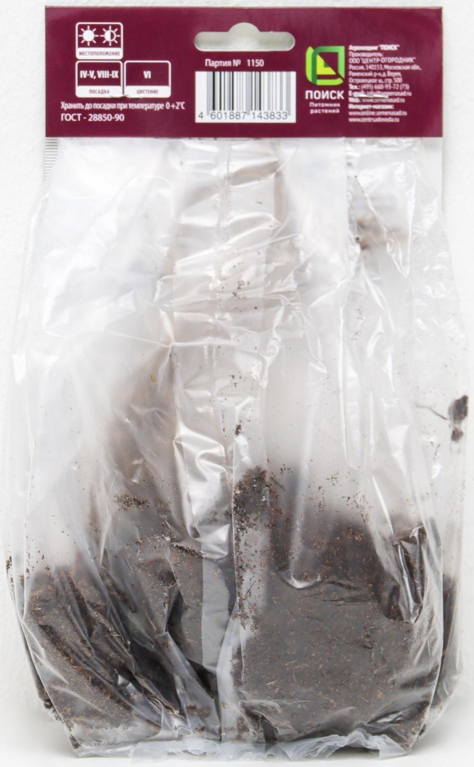 Ирис сибирский 