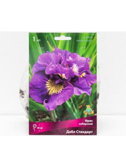 Ирис сибирский 