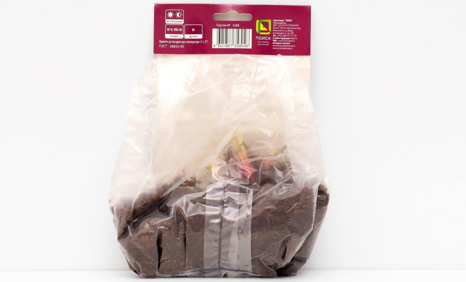 Ирис сибирский 