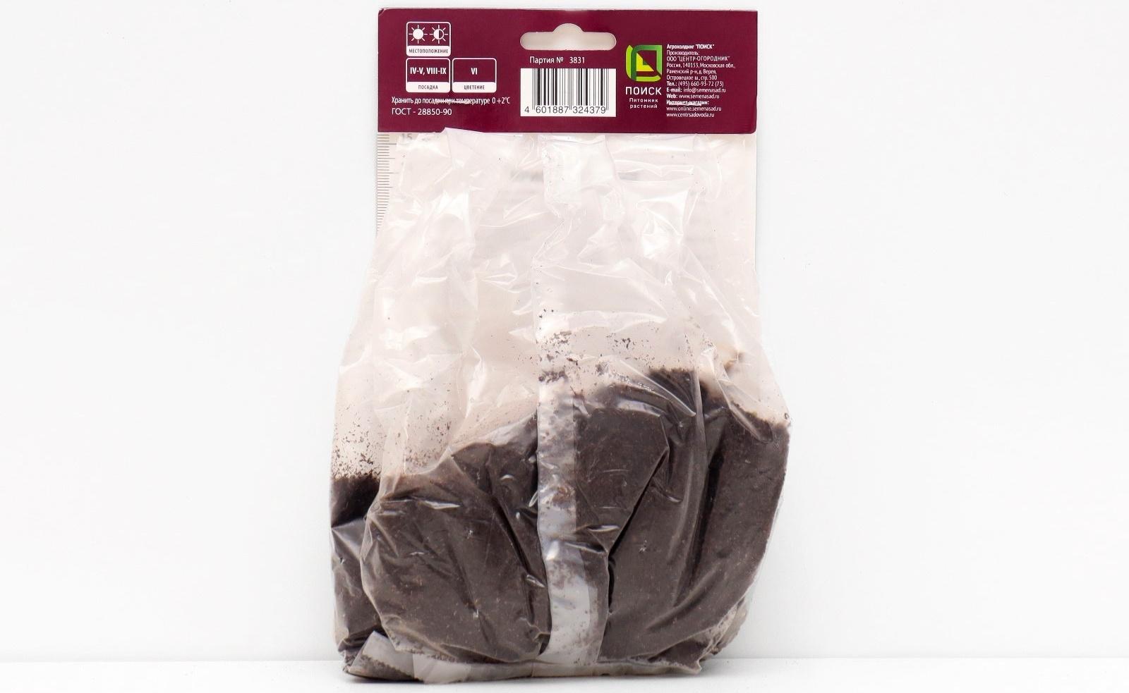 Ирис сибирский 