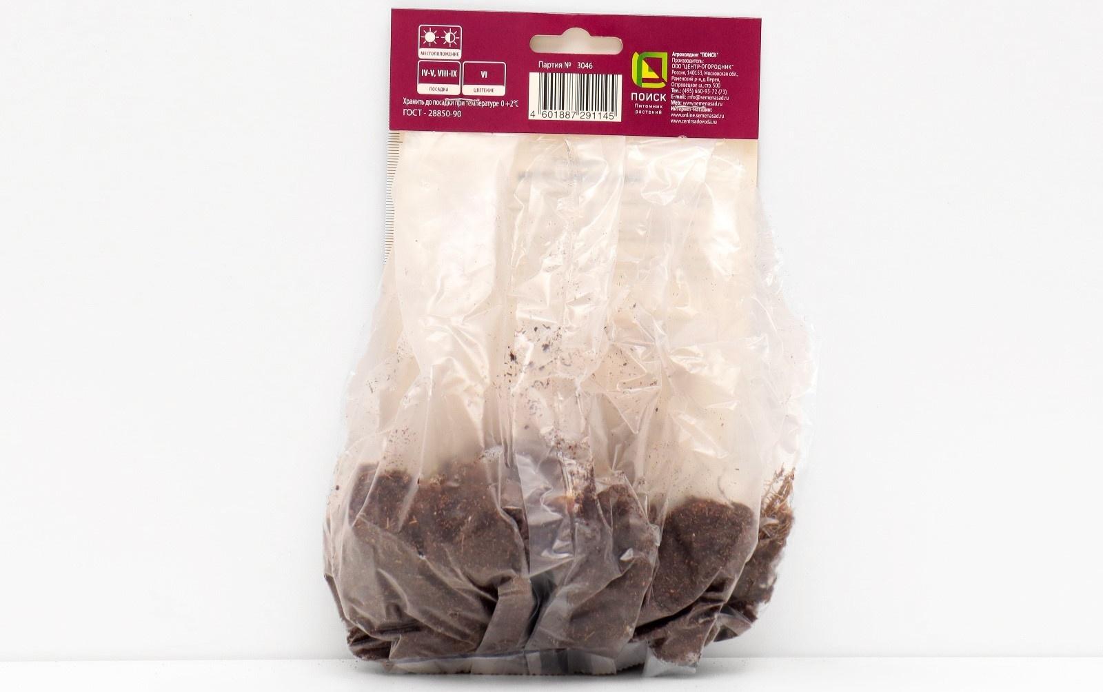 Ирис сибирский 