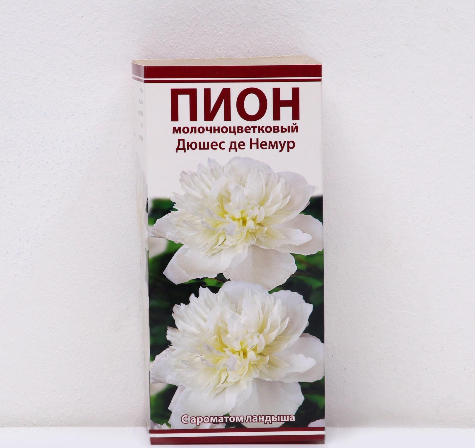 Пионы молочноцветковые и гибриды 