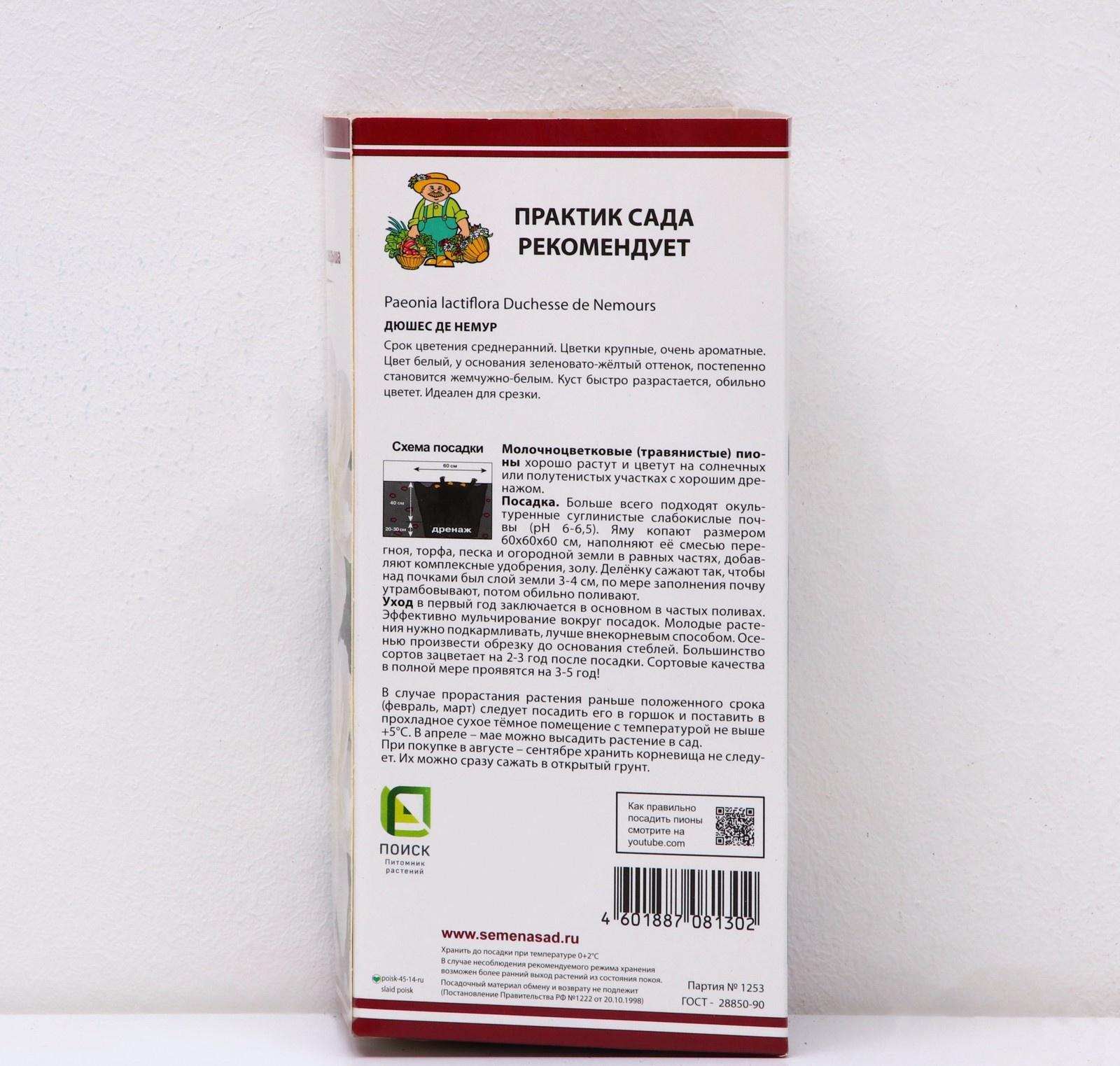 Пионы молочноцветковые и гибриды 