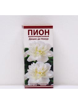 Пионы молочноцветковые и гибриды 