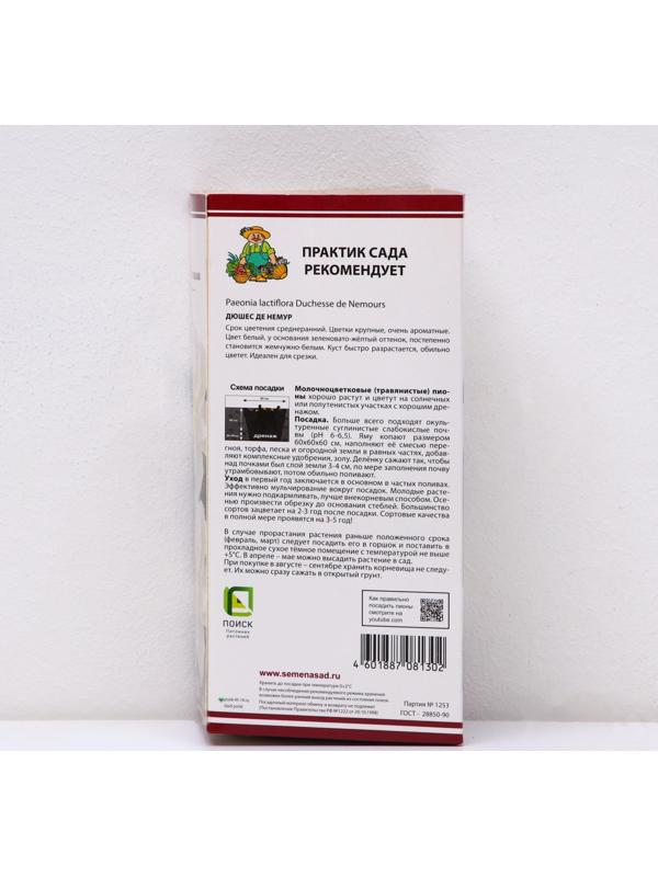 Пионы молочноцветковые и гибриды 