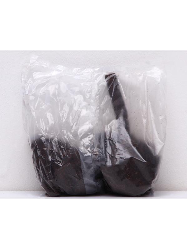 Пионы молочноцветковые и гибриды 